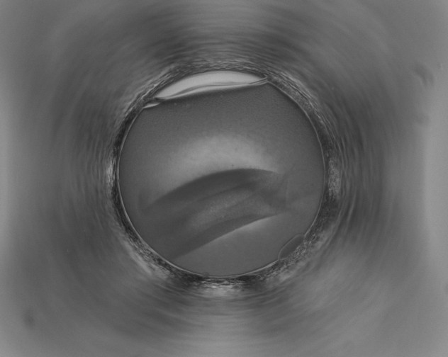 X0000115200405200911121846