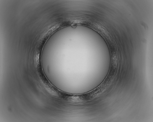 X0000115200406200911121846