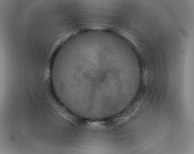 X0000115200407200911121846