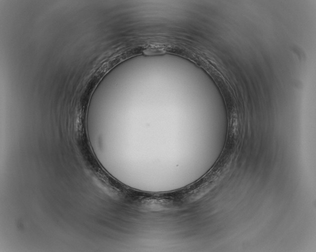 X0000115200408200911121846