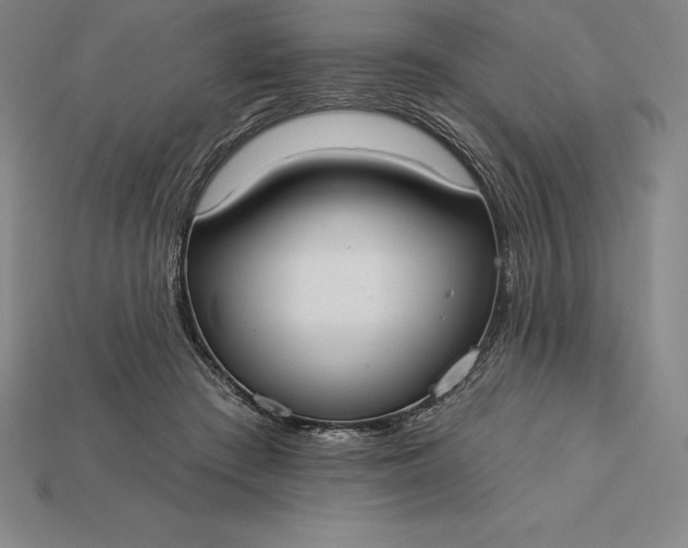 X0000115200409200911121846