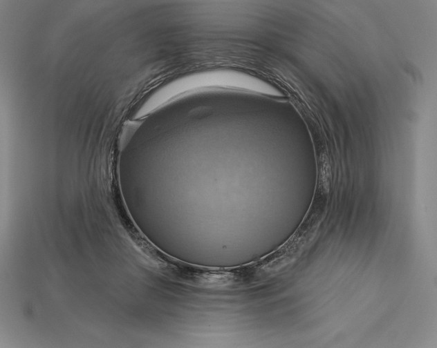 X0000115200410200911121846