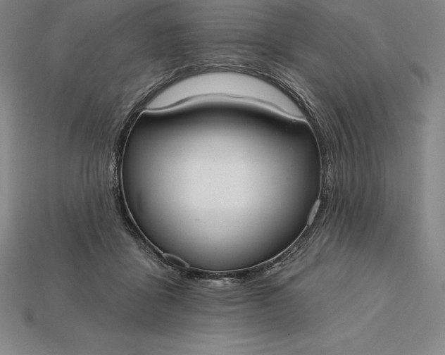 X0000115200411200911121846