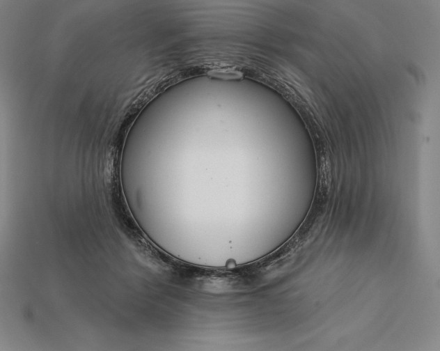 X0000115200412200911121846