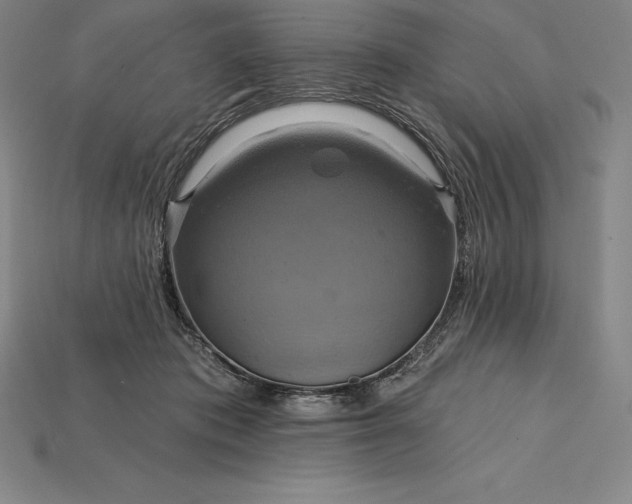 X0000115200413200911121846