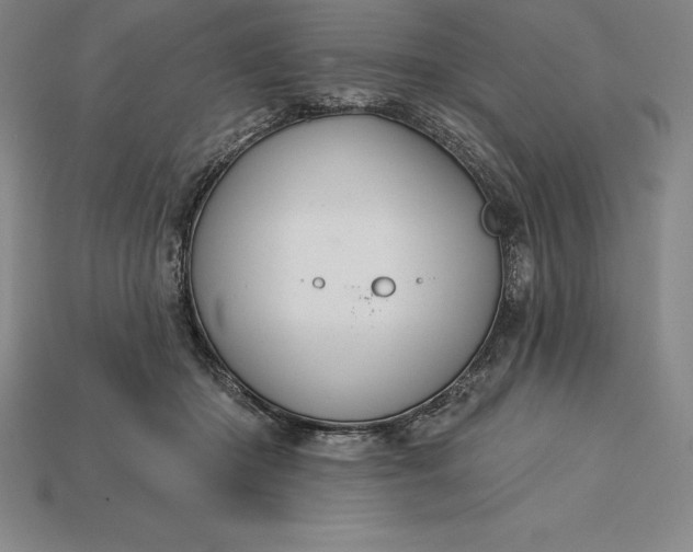 X0000115200414200911121846
