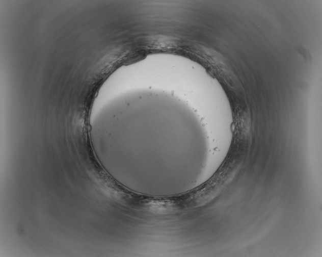 X0000115200415200911121846