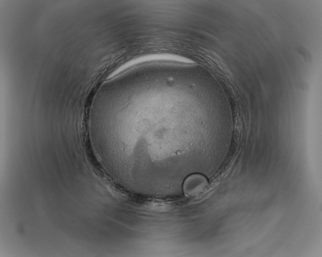 X0000115200416200911121846