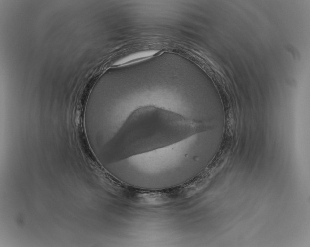 X0000115200417200911121846