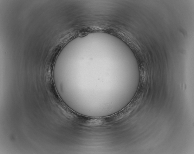 X0000115200418200911121846