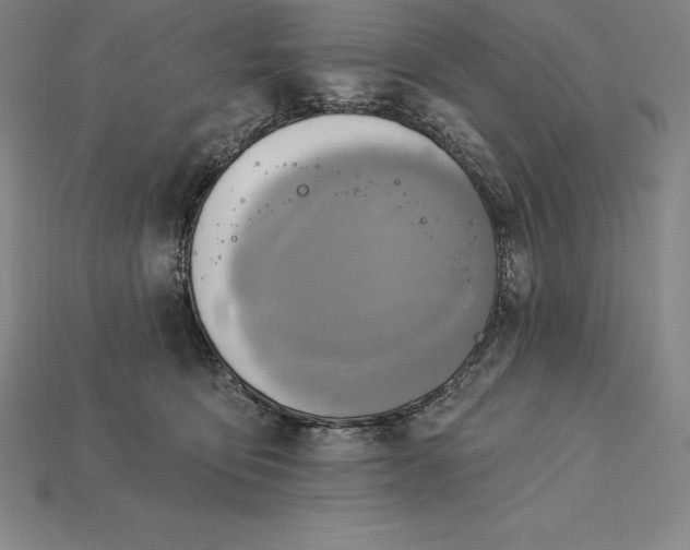 X0000115200419200911121846