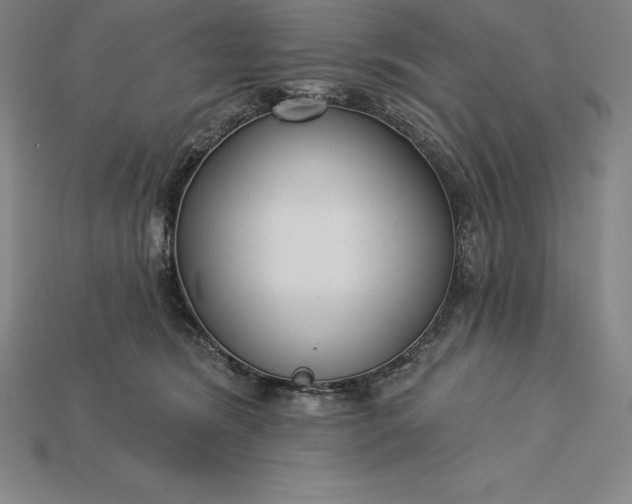 X0000115200420200911121846