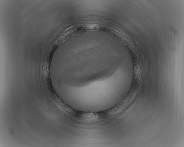 X0000115200421200911121846