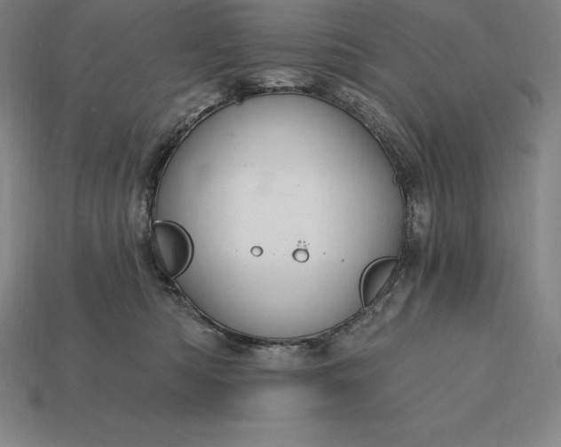 X0000115200422200911121846