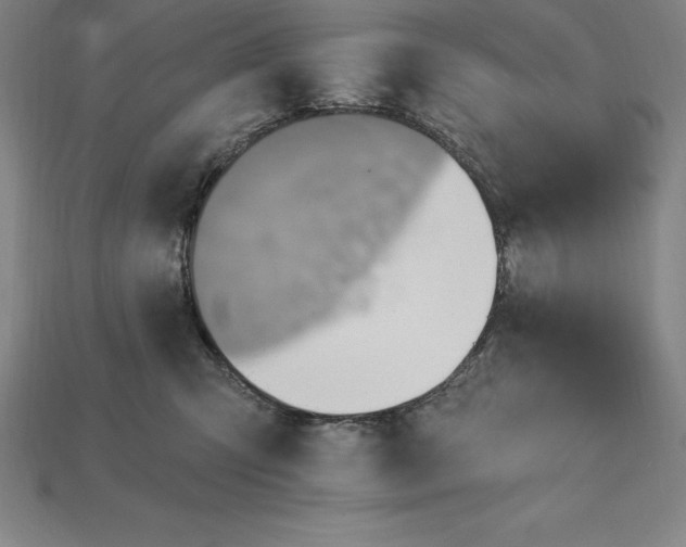 X0000115200423200911121846