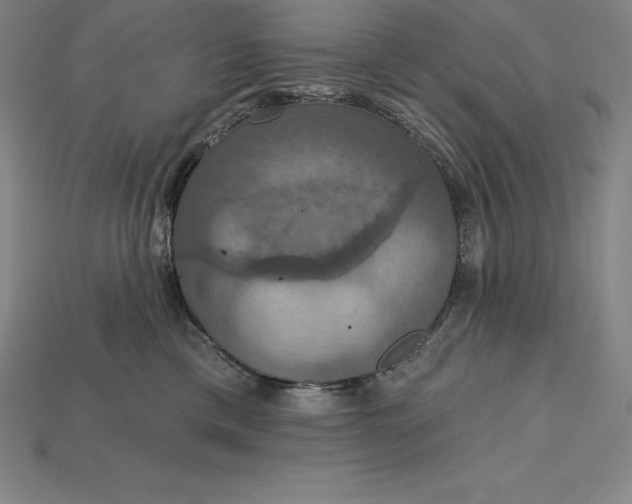 X0000115200425200911121846