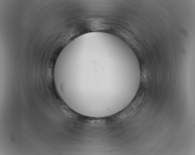 X0000115200426200911121846