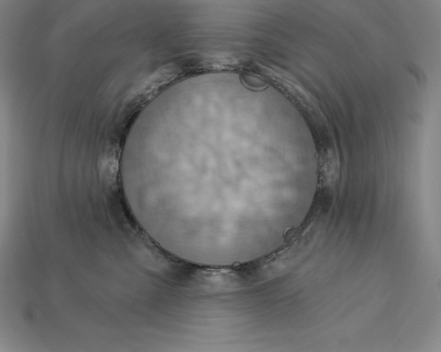 X0000115200427200911121846