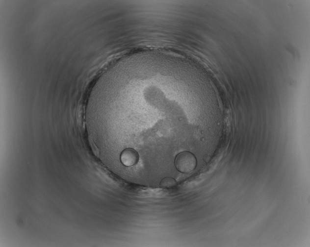 X0000115200428200911121846