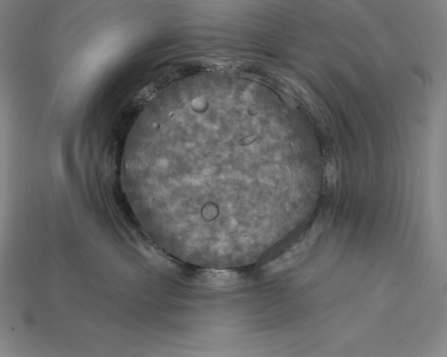 X0000115200429200911121846