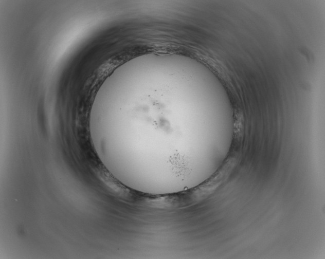 X0000115200430200911121846