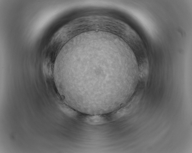X0000115200431200911121846