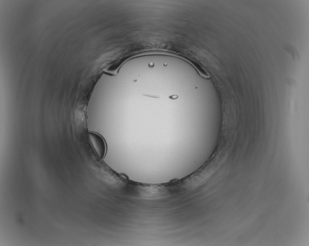 X0000115200432200911121846