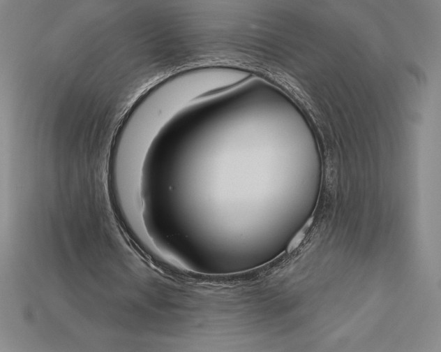 X0000115200434200911121845