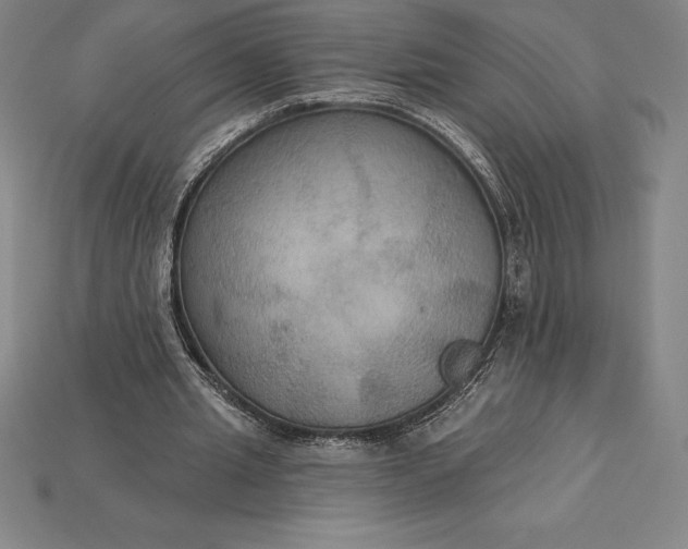 X0000115200437200911121846