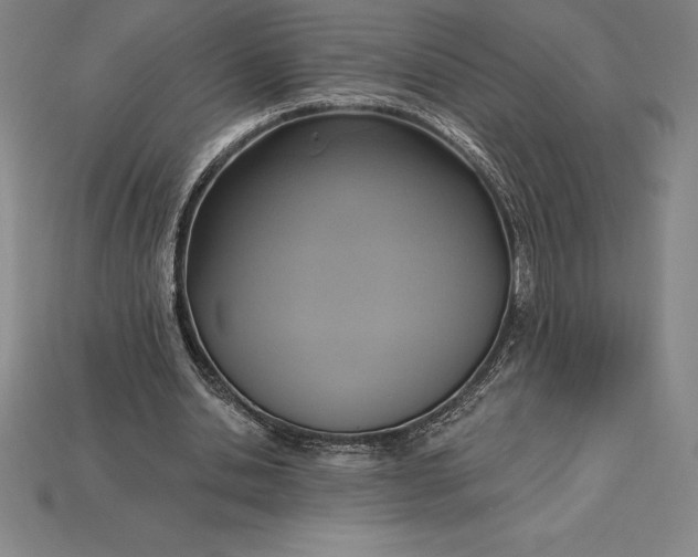 X0000115200438200911121846