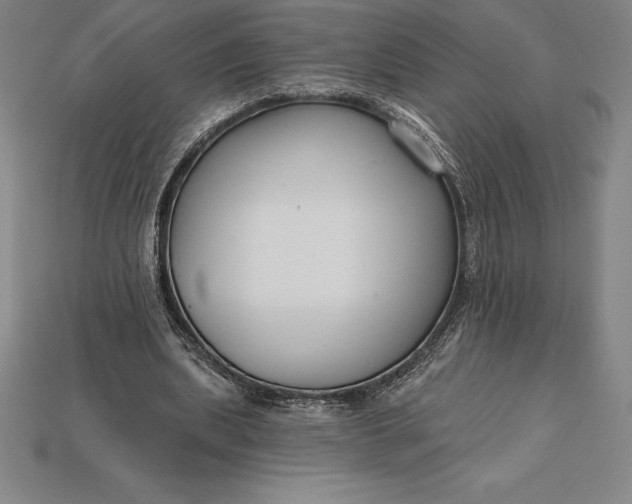 X0000115200439200911121846