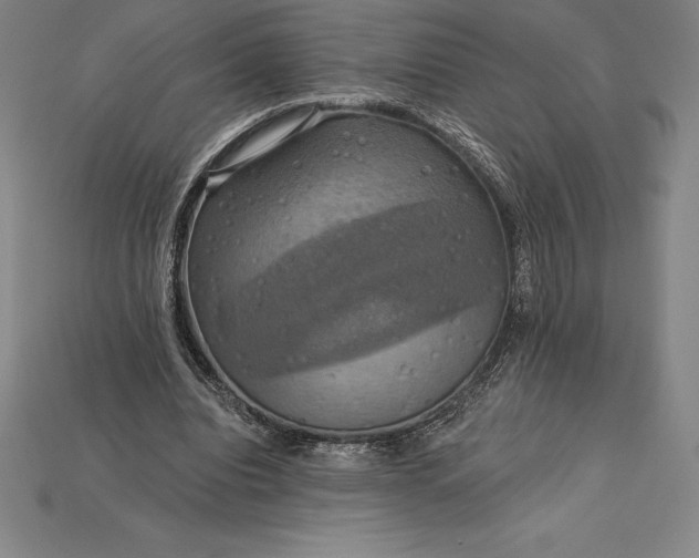X0000115200440200911121846