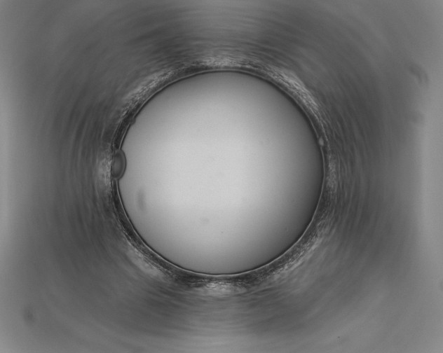 X0000115200441200911121846