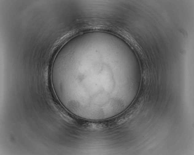X0000115200442200911121846