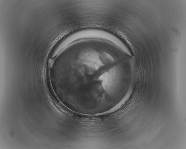 X0000115200443200911121846