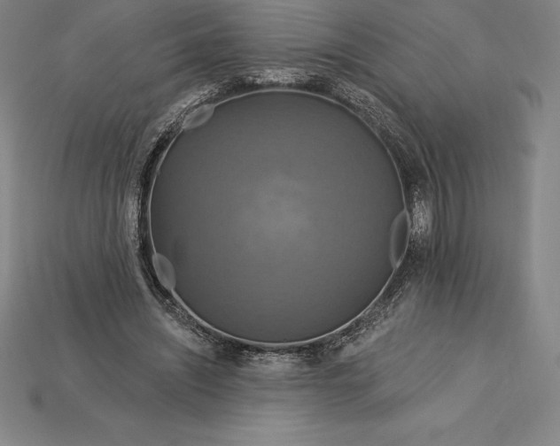 X0000115200444200911121846