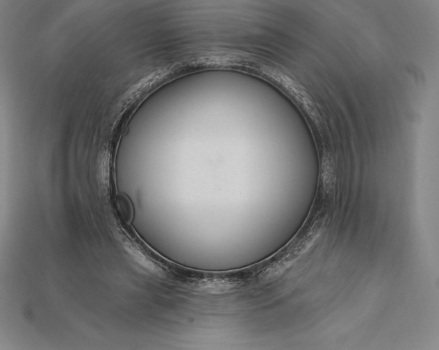 X0000115200445200911121846