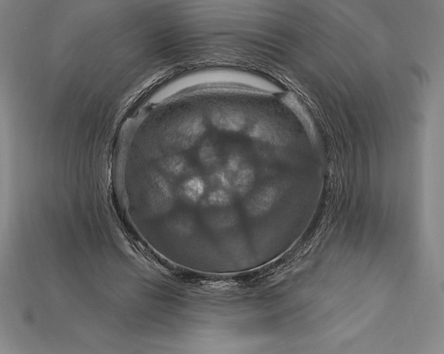 X0000115200446200911121846