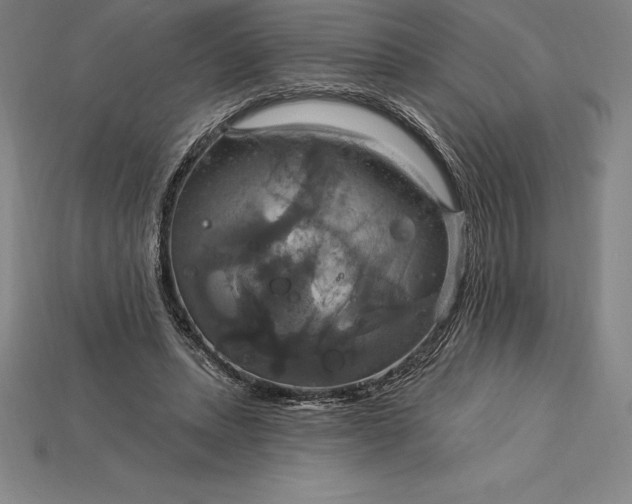 X0000115200447200911121846