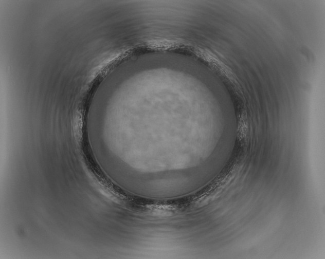 X0000115200448200911121846