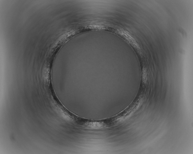 X0000115200449200911121846