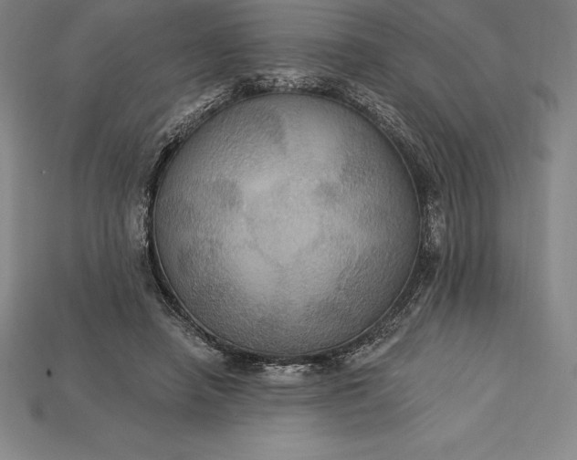 X0000115200450200911121846