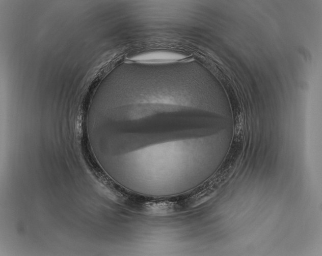 X0000115200452200911121846