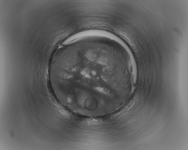 X0000115200453200911121846
