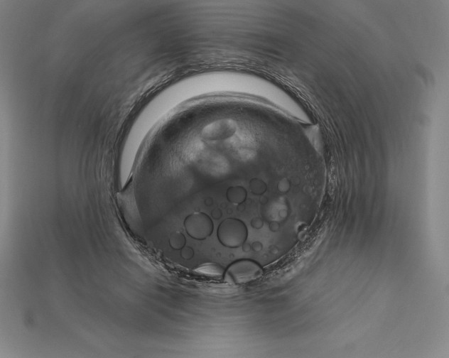 X0000115200454200911121846