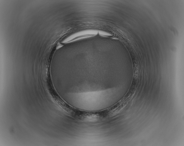 X0000115200456200911121846