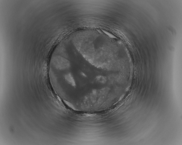 X0000115200457200911121846