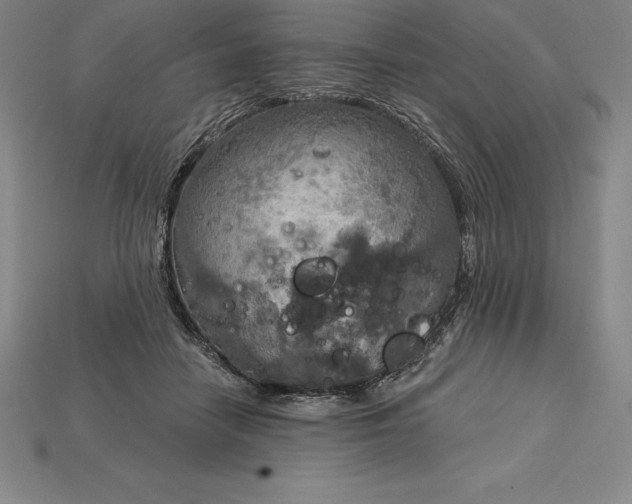 X0000115200458200911121846