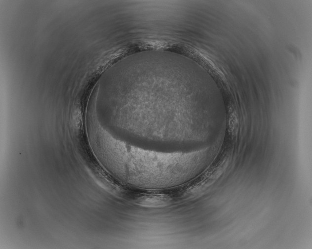 X0000115200459200911121846