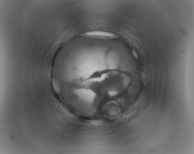 X0000115200462200911121846